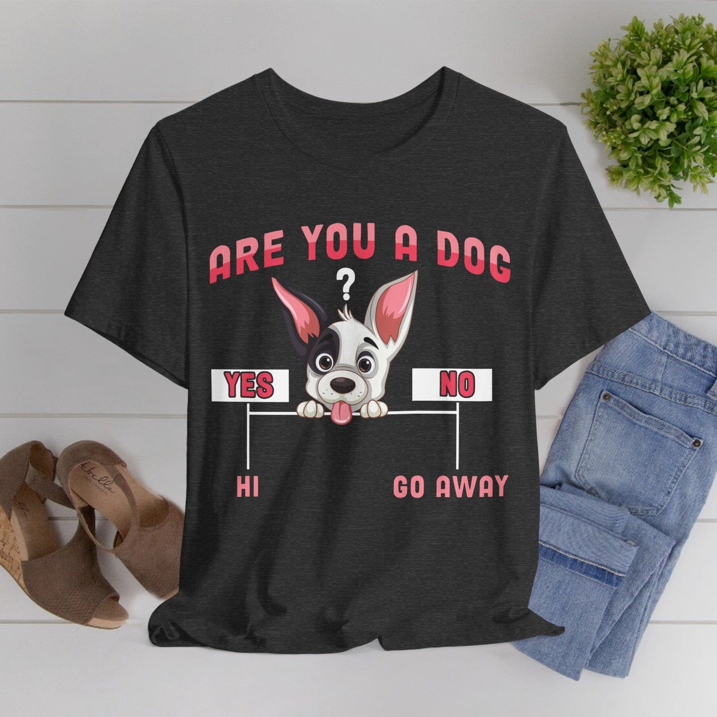 04 - Are you a dog