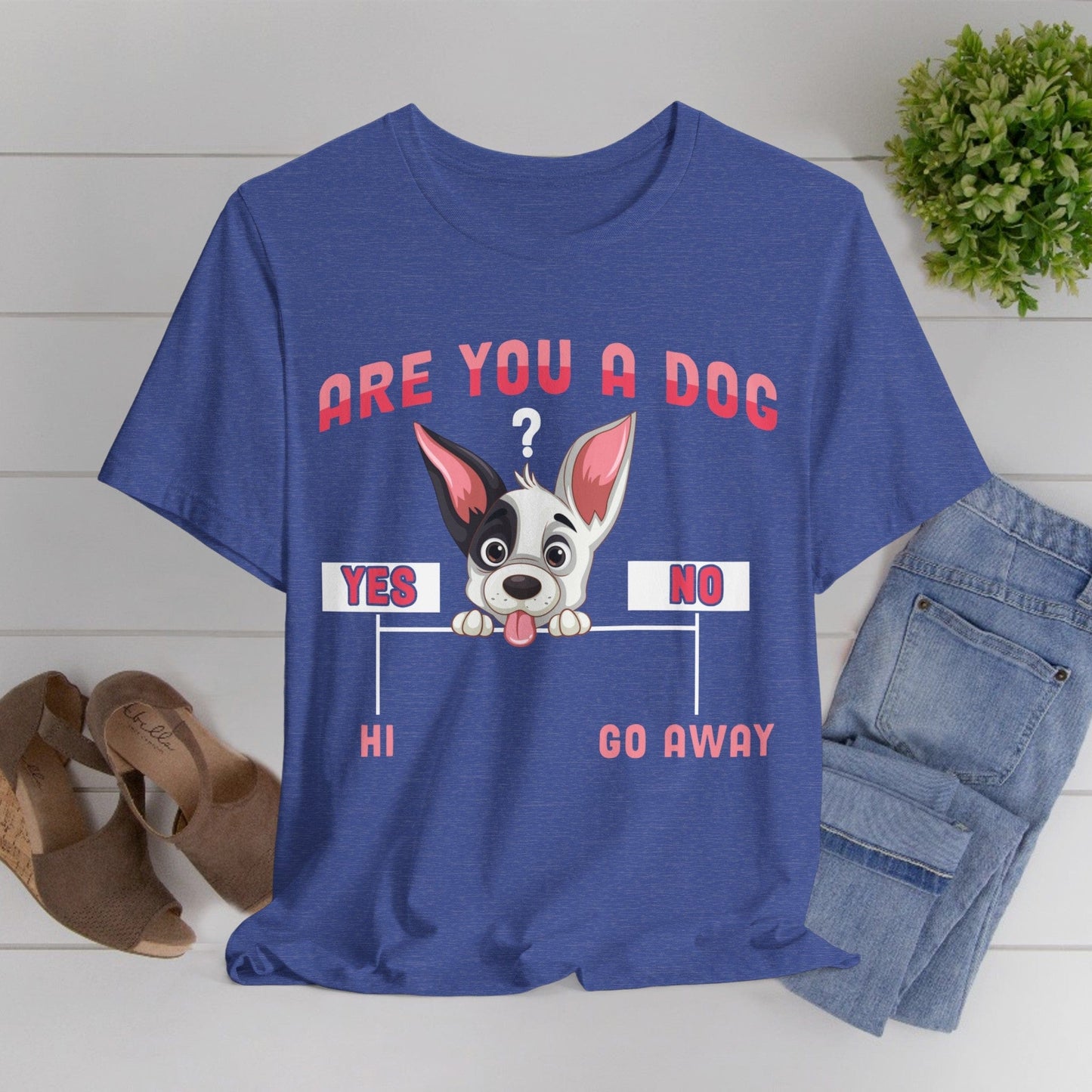 04 - Are you a dog