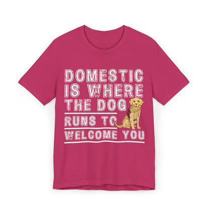 20 - Domestic - T-shirt