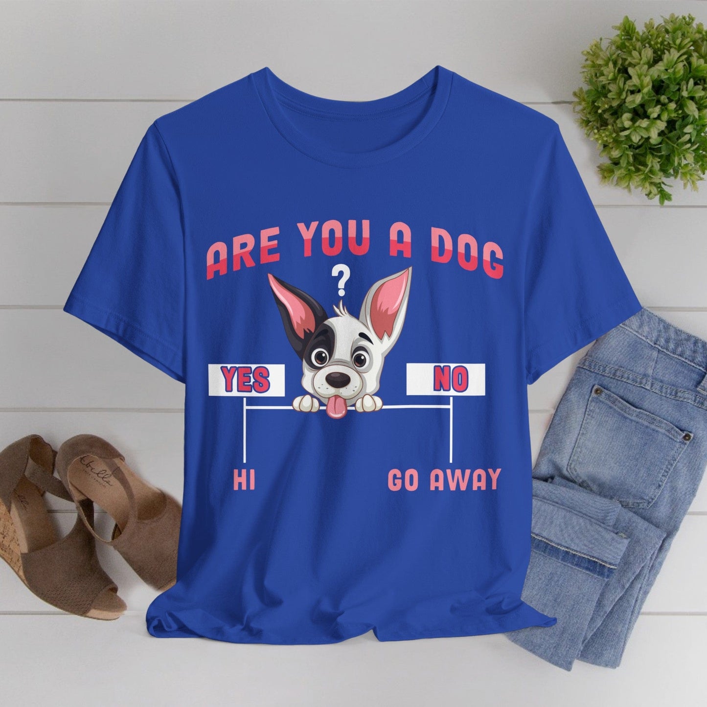 04 - Are you a dog